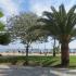 Apartamentos Aleksandrakis, alojamiento privado en Asprovalta, Grecia